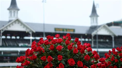 live kentucky derby odds